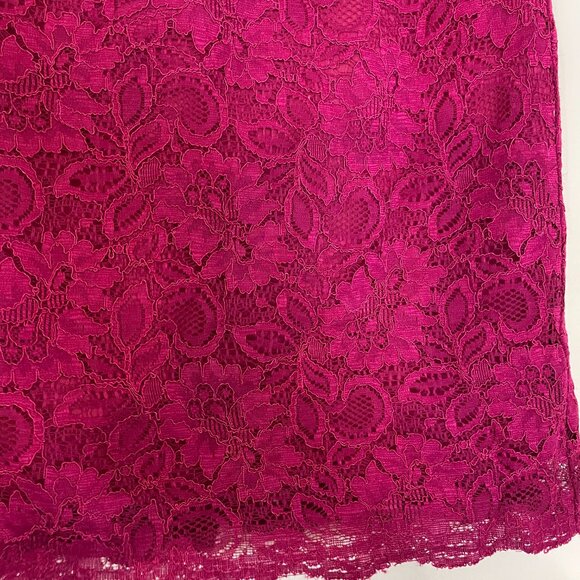 Banana Republic 4P Hot Pink Lace Skirt – Fitted Petite, True to Size - Picture 2 of 8